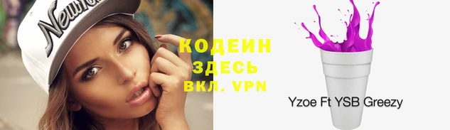 прущие крисы Апатиты