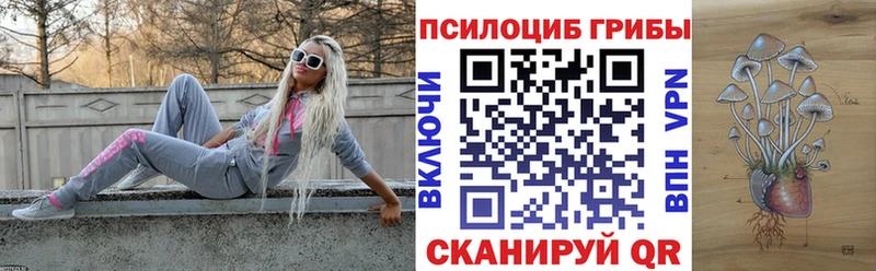 Псилоцибиновые грибы ЛСД  закладки  Данилов 