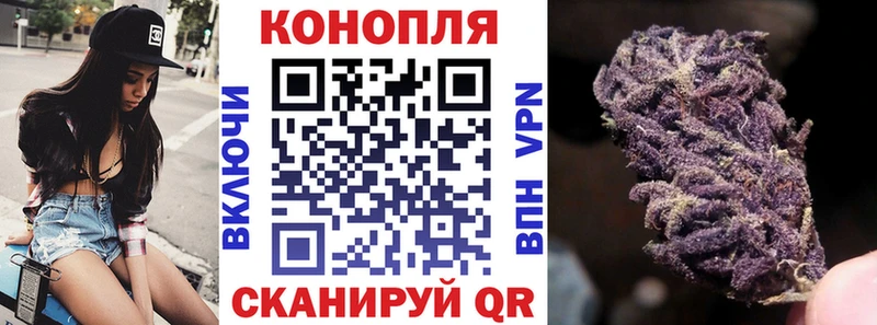 Бошки Шишки планчик  купить наркоту  Данилов 
